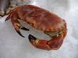 crabe farci