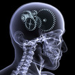 skeleton x-ray - wheels a turning skeleton x-ray - wheels a turning