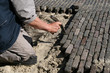 paving