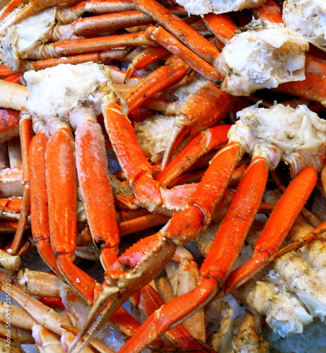 Photo: fresh crab fresh crab