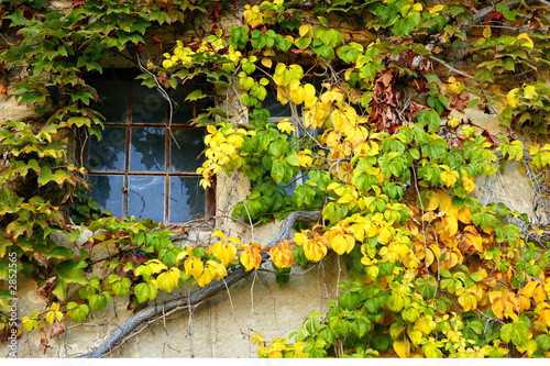 couleur d'automne bis