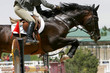 crossing the hurdle - equestrian theme crossing the hurdle - equestrian theme