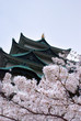 Photo en ligne au meilleur prix chateau japonais