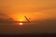 flying on sunset