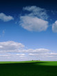 field