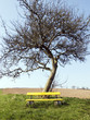 gelbe bank 3
