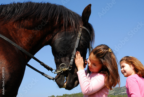 Photo: jumelles et cheval jumelles et cheval