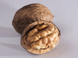 nut