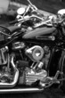 harley davidson