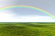 grass field with rainbow