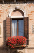 red flowers in a window box