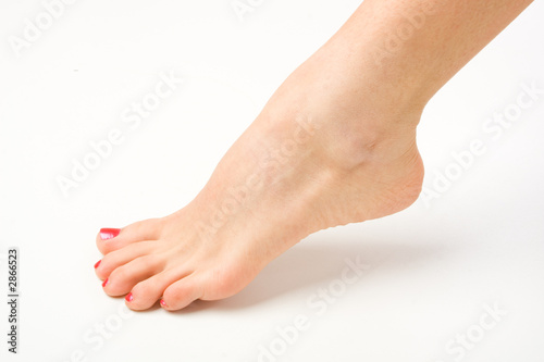 foot foot