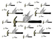 flying hammers