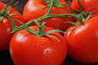 tomates en grappe
