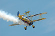 utterly butterly display team 2 utterly butterly display team 2