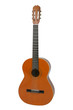 acoustic guitar
