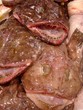monk fish monk fish