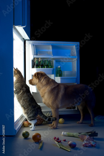 Photo: midnight snacks midnight snacks