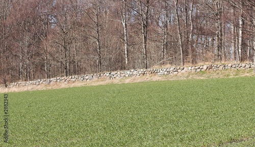 Foto: stone wall stone wall