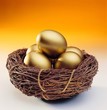 egg
