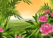 flowering shrub