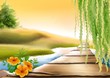 footbridge & meadow stream
