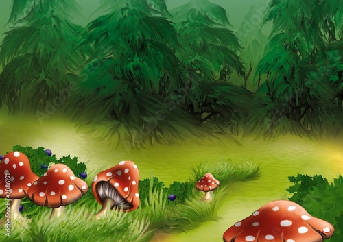 fly agarics
