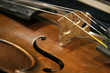 violon