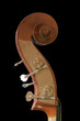 contrebasse