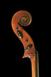 tete de violoncelle