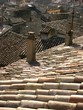toit de maison provençale