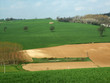 campi