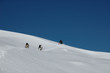 ..way to summit... ..way to summit...