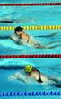 natation13
