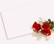red rose isolated on pink red rose isolated on pink