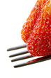 strawberry temptation strawberry temptation