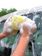washing a car / sponge
