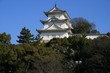 japanse castle