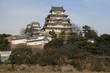 japanese castle