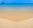 icon beach icon beach