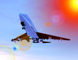 plane in flight 19