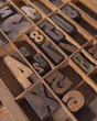 wood type wood type