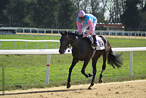 Photo: cheval de course cheval de course