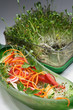 mixed salad with sprouts