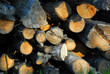 wood logs