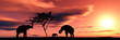 family of giraffes