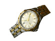 wrist watch isolated