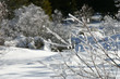 paesaggio invernale paesaggio invernale