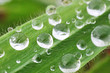 water drops