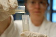 working in lab with test tubes